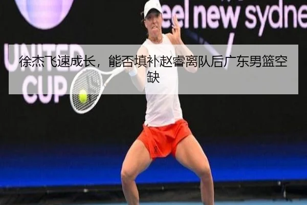 徐杰飞速成长，能否填补赵睿离队后广东男篮空缺